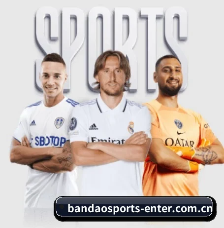 半岛体育官方入口 APP 界面 | BandaoSports
